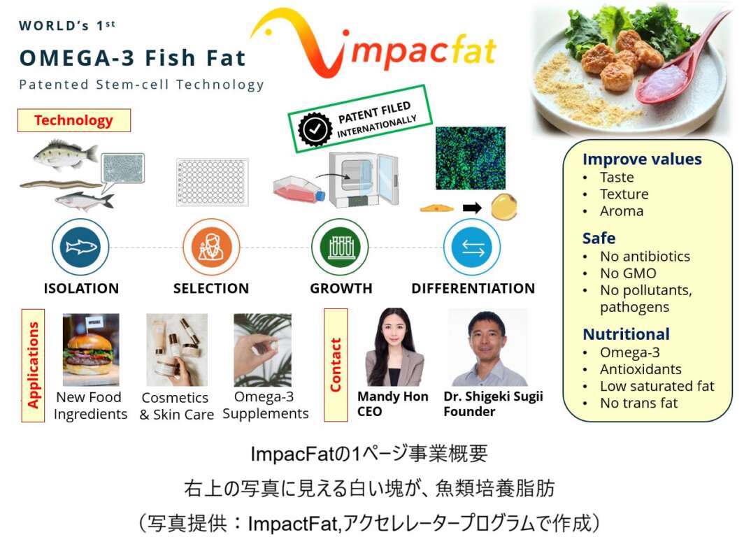 2609 ImpacFatの事業概要